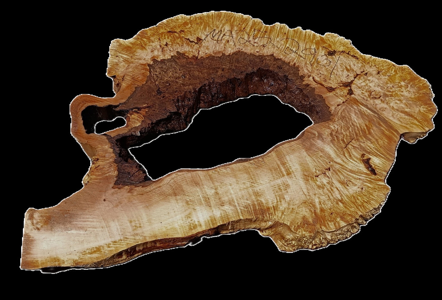 Maple Burl | Live Edge Slab | River Table | DIY | MA25-2901