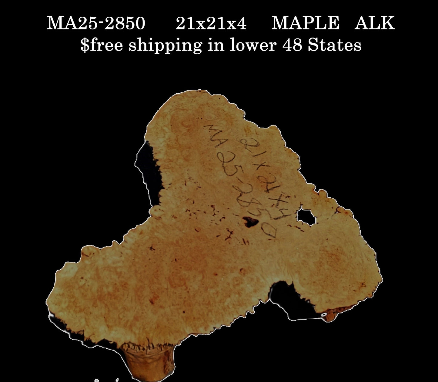 Maple Burl | Live Edge Slab | River Table | DIY | MA25-2850