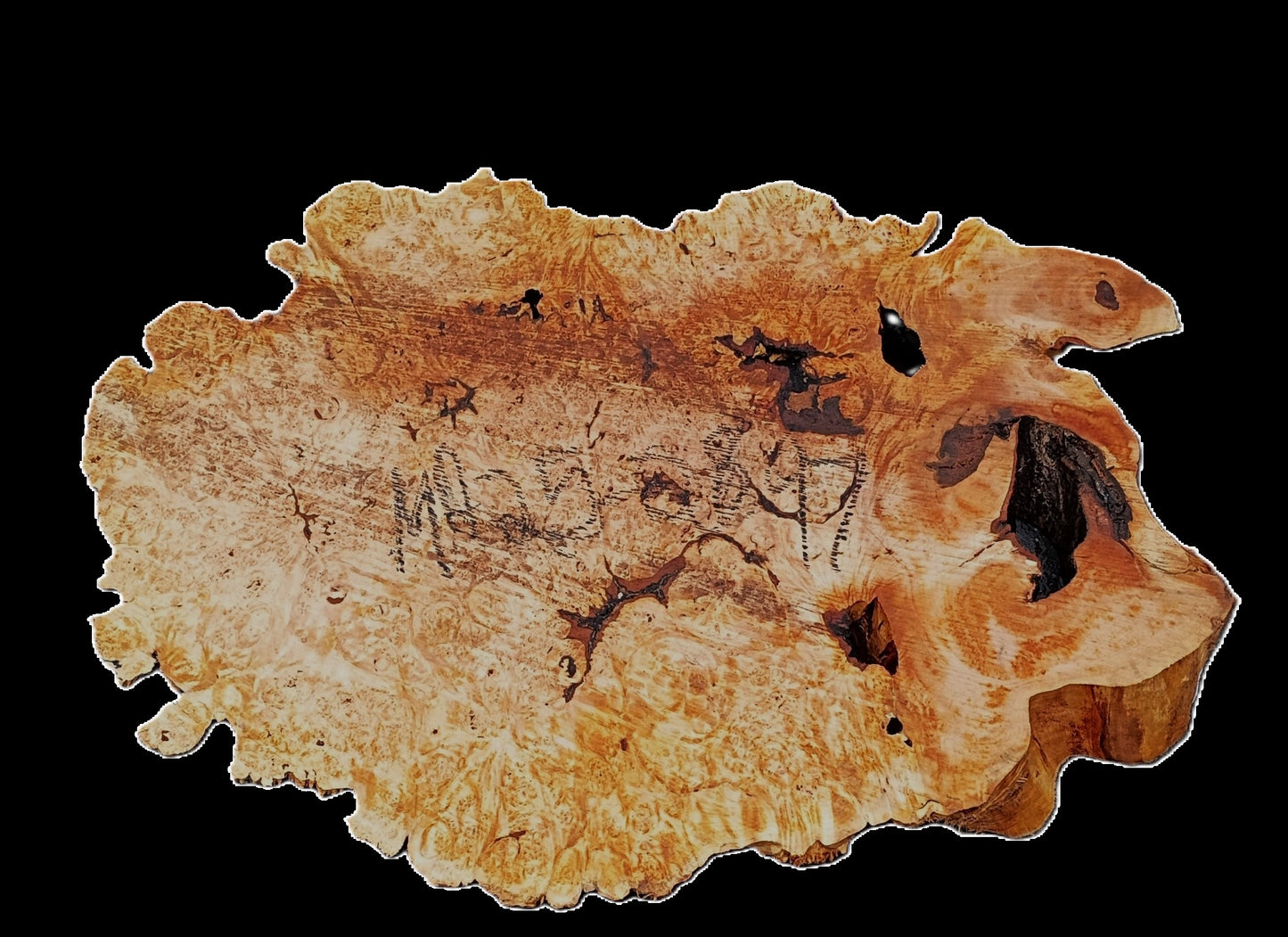 Maple Burl | Live Edge Slab | River Table | DIY | MA25-2897