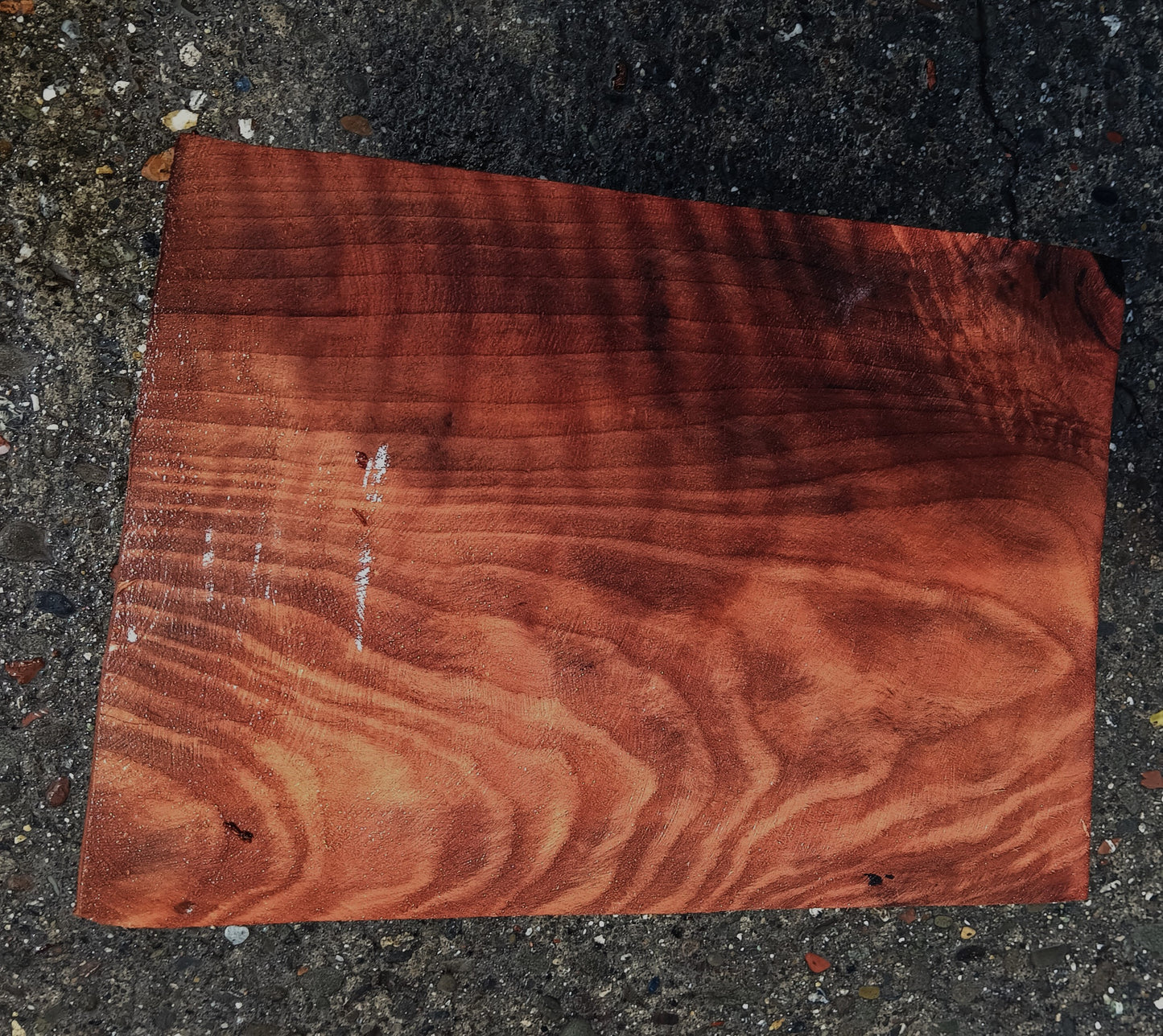 Redwood Burl Block | Bow Turning | Craft Wood | DIY | RBL25-1804