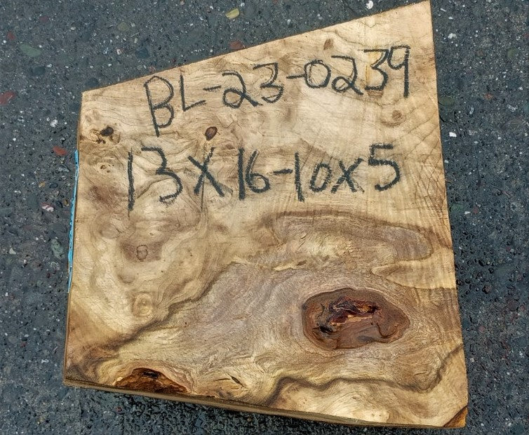 Myrtle burl | exotic wood | wood turning | DIY wood crafts | bl23-0239-mrt