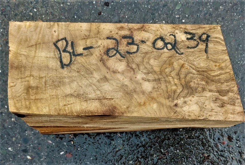 Myrtle burl | exotic wood | wood turning | DIY wood crafts | bl23-0239-mrt