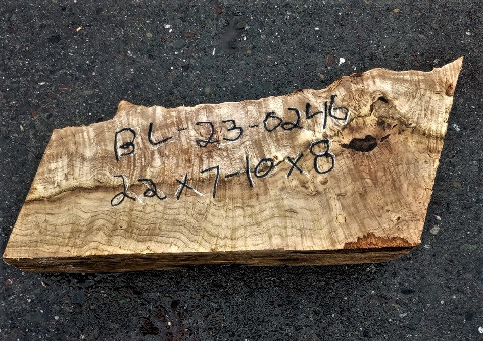 Myrtle burl | exotic wood | wood turning | DIY wood crafts | bl23-0246