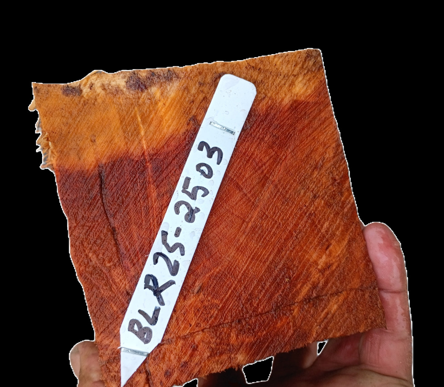 Redwood Burl | Turning Block | Craft Wood | DIY | RBL25-2503