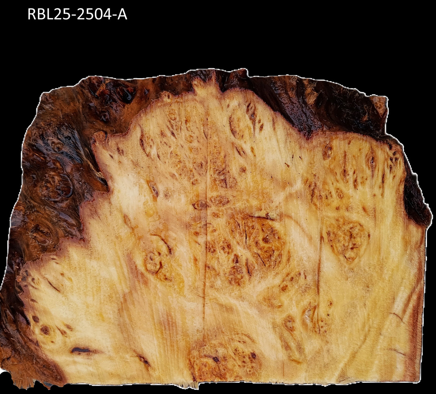 Redwood Burl | Turning Block | Craft Wood | DIY | BLR25-2504