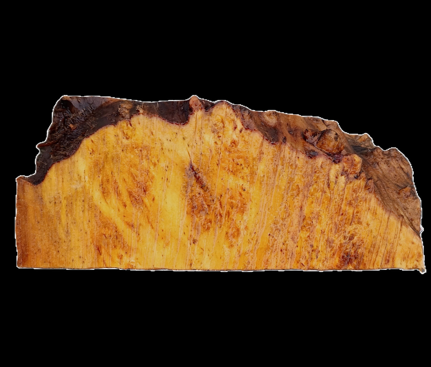 Redwood Burl | Turning Block | Craft Wood | DIY | BLR25-2504