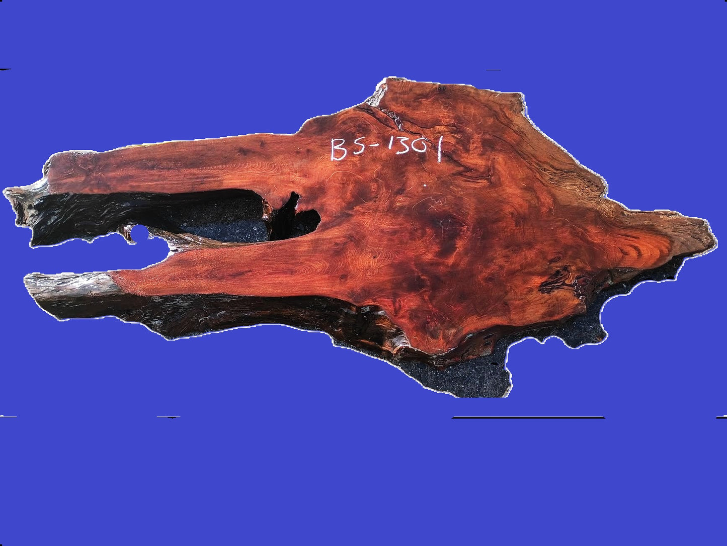 Old growth | Redwood slab | DIY craft wood | BS-1031