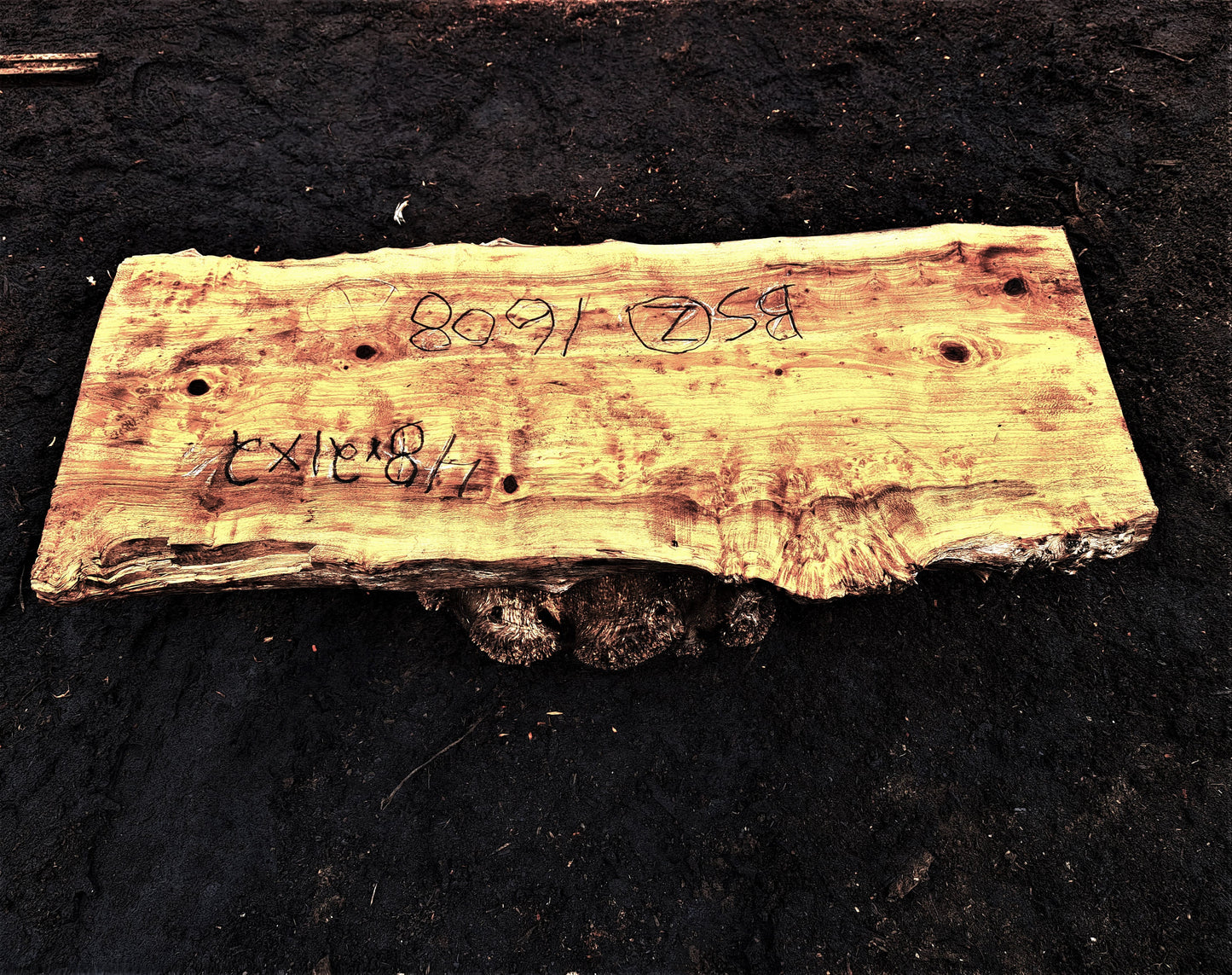 Maple burl | unfinished table | live edge slab | DIY | bsz1608-t&base