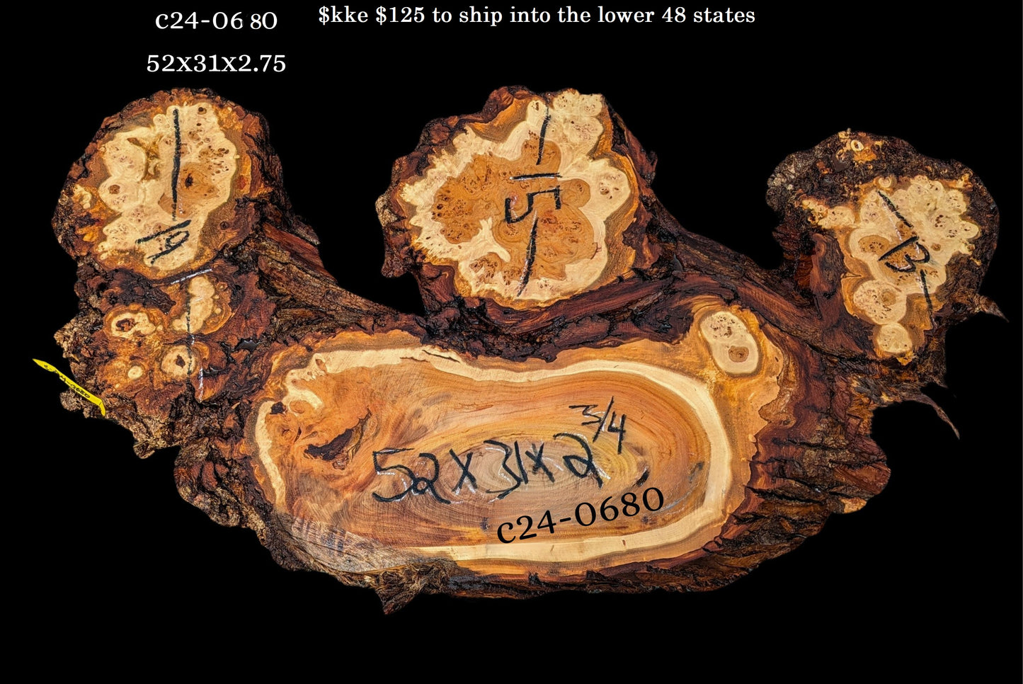 Poplar slab | live edge | Cluster Burl | DIY crafts | C24-0680