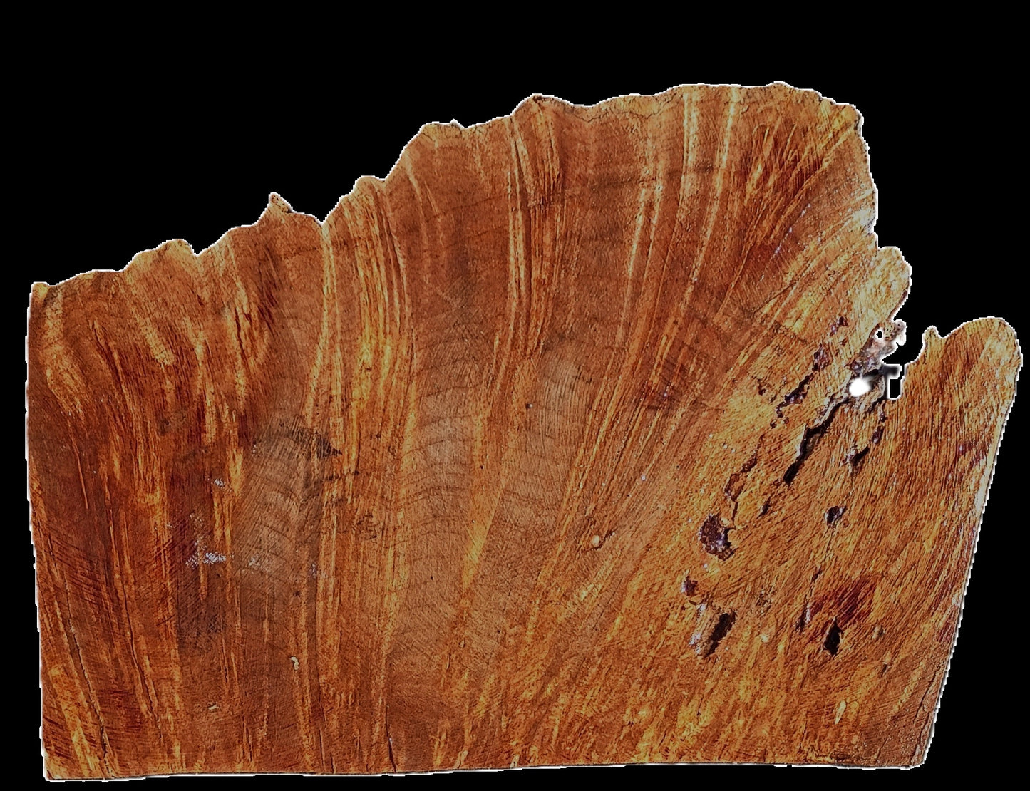 Maple Burl Cap | Turning Wood | Craft Wood | CAP25-2410