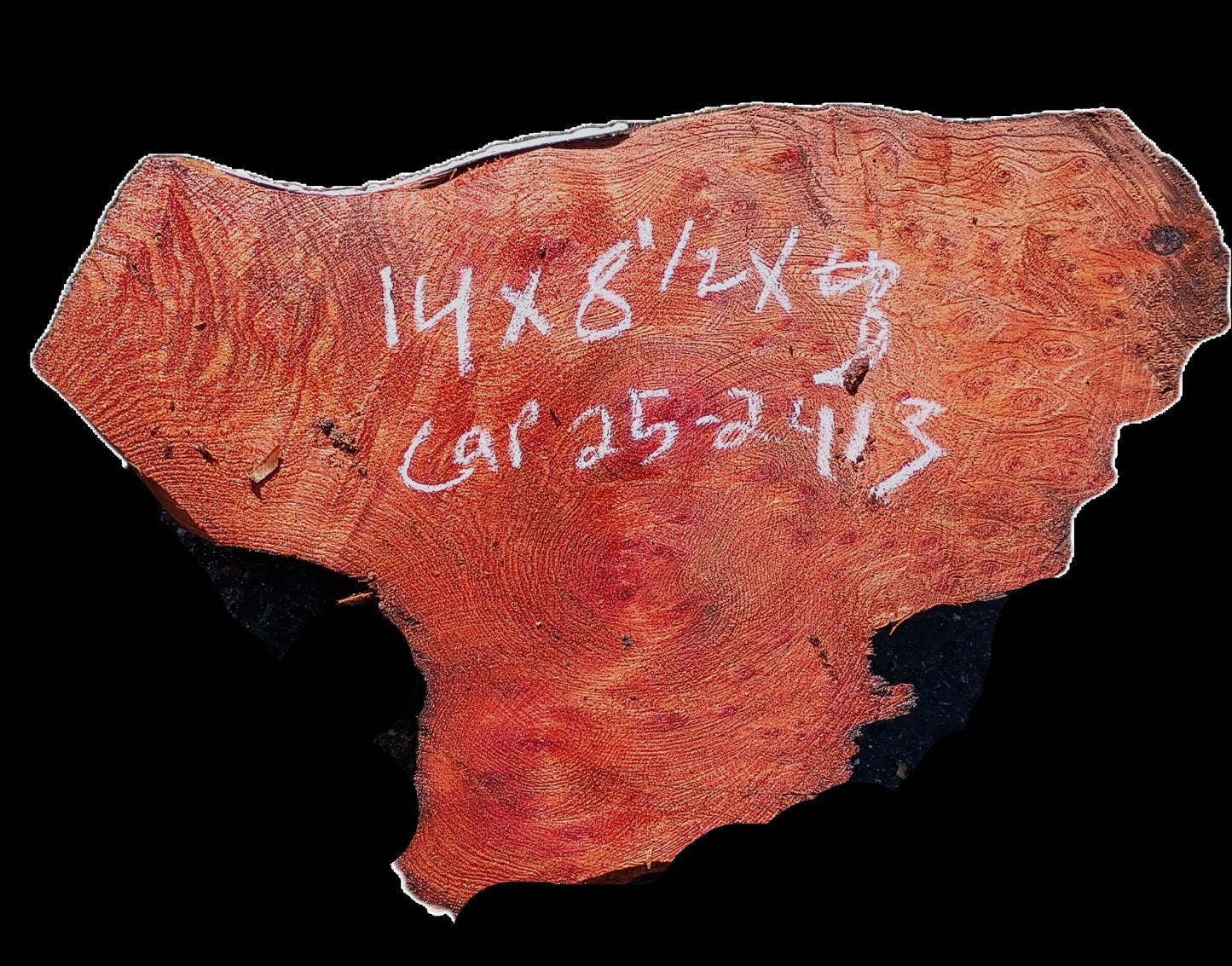 Redwood Burl Cap | Turning Wood | Craft Wood | CAP25-2413