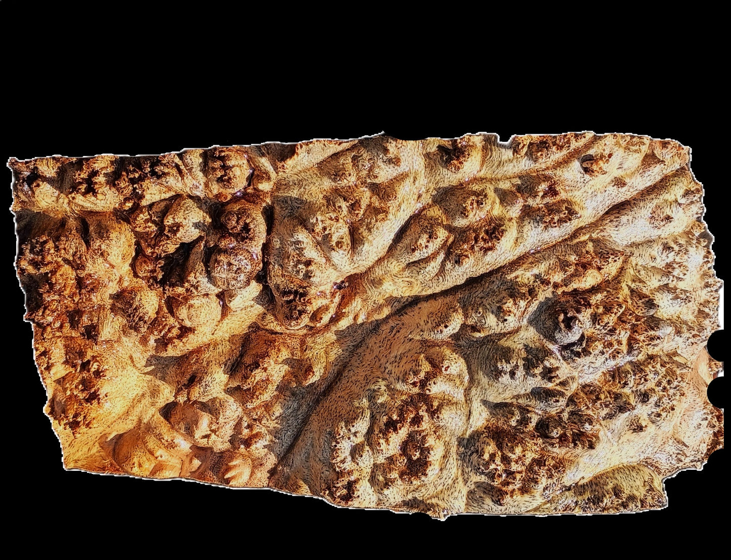 Maple Burl Cap | Turning Wood | Craft Wood | CAP25-2410