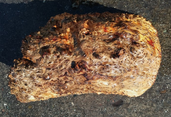 Mappa Burl Cap | Live Edge |  DIY Crafts | Wood Turning | Bowl Turning | CAP25-2123