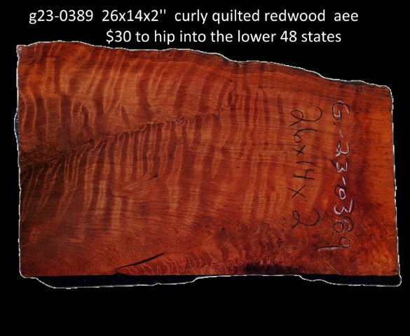 Guitar Blank | Instrument Wood | Luthier | G23-0389