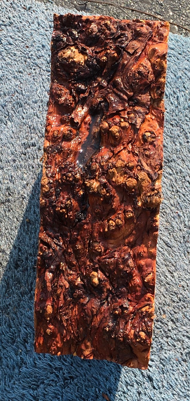 Maple burl block | bowl blank | DIY wood | wood turning | mabl23-0924