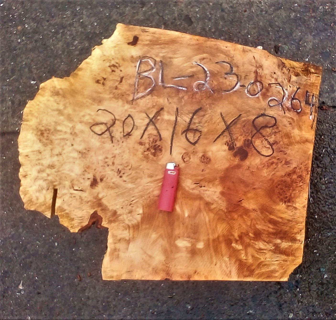 Maple burl slab | live edge | river table | DIY crafts | burl clock | ma23-0264