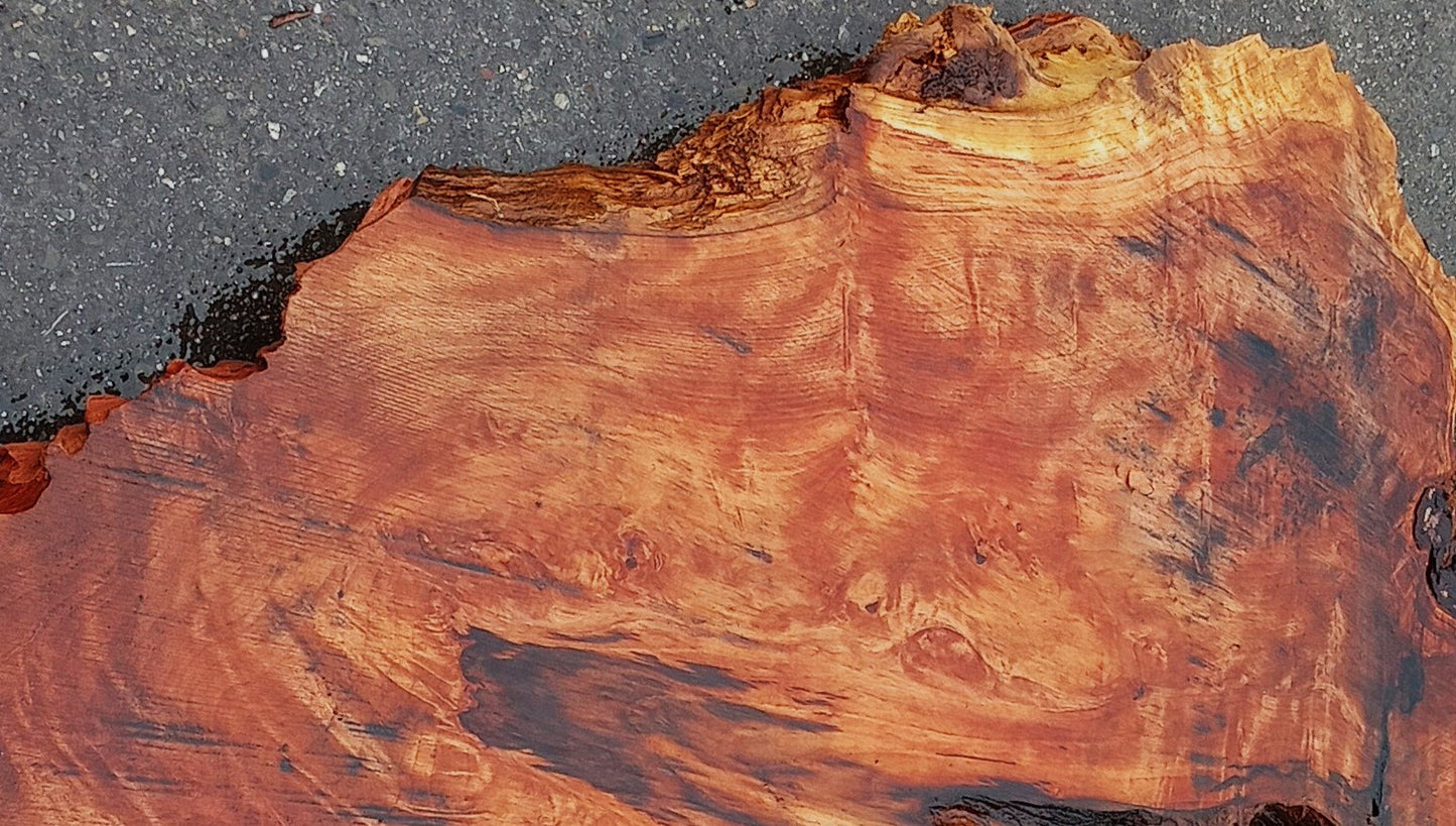 Redwood burl slab | DIY | burl table | river table | craft wood | r42