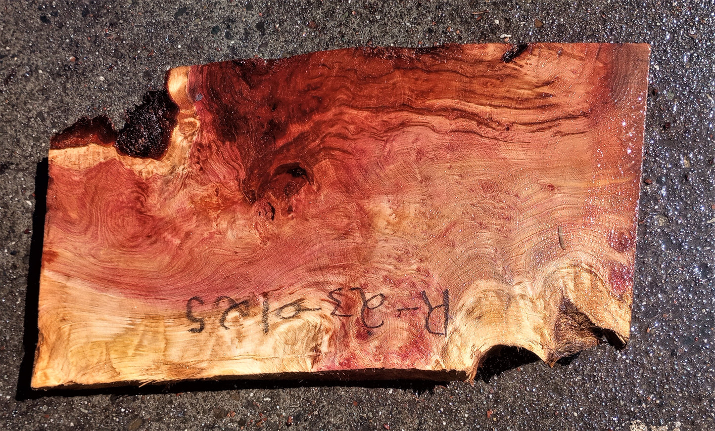 Redwood lace burl | turning block | DIY crafts | r23-0125