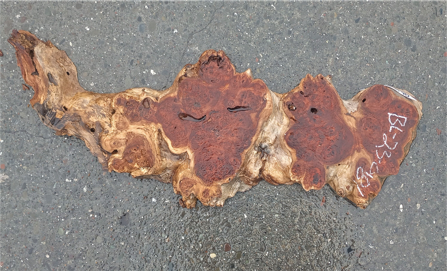 Poplar lace burl | DIY crafts | craft woods | resin serving tray | p23-0181