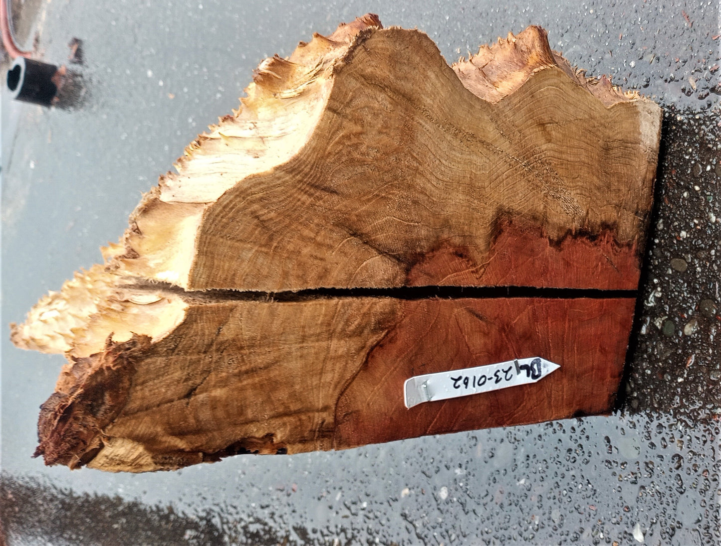 redwood lace burl | DIY crafts | wood turning | bowl block blank | bl23-0162