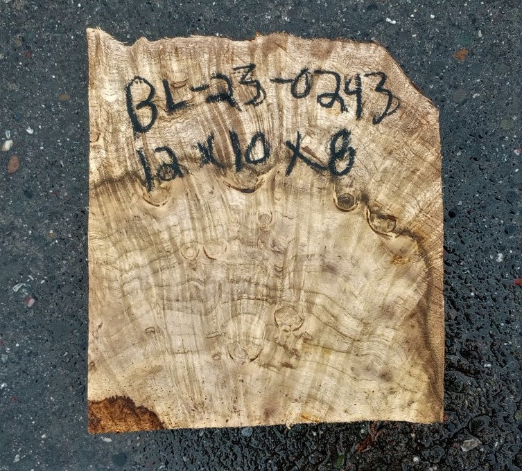 Myrtle burl | exotic wood | wood turning | DIY wood crafts | bl23-0243-mrt