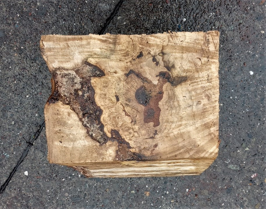Myrtle burl | exotic wood | wood turning | DIY wood crafts | bl23-0243-mrt