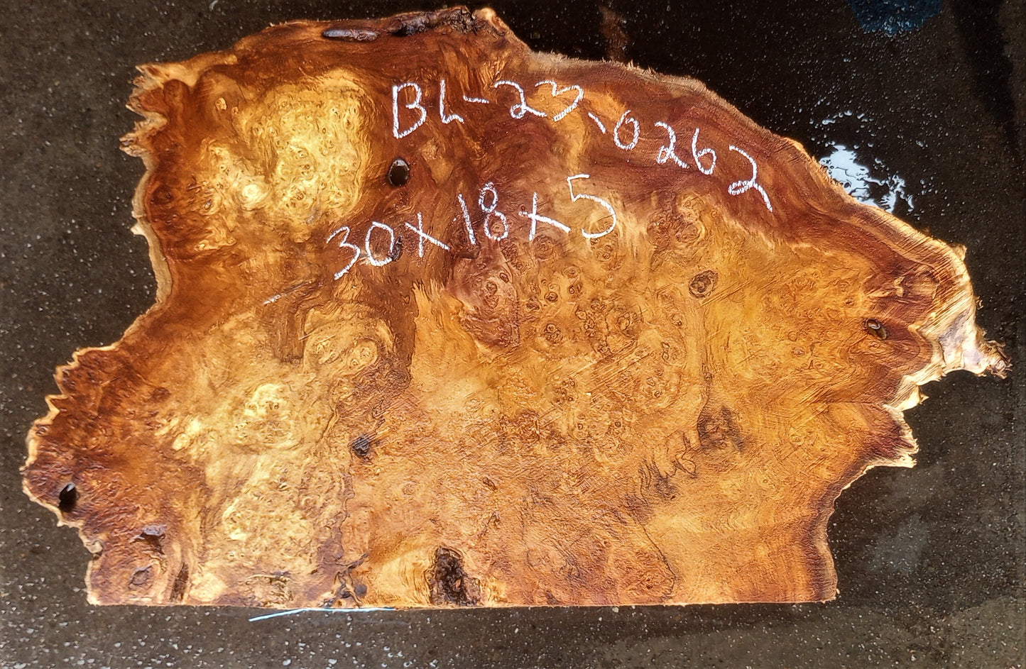 Poplar burl | bowl turning | wood turning | cap | DIY | bl23-0262