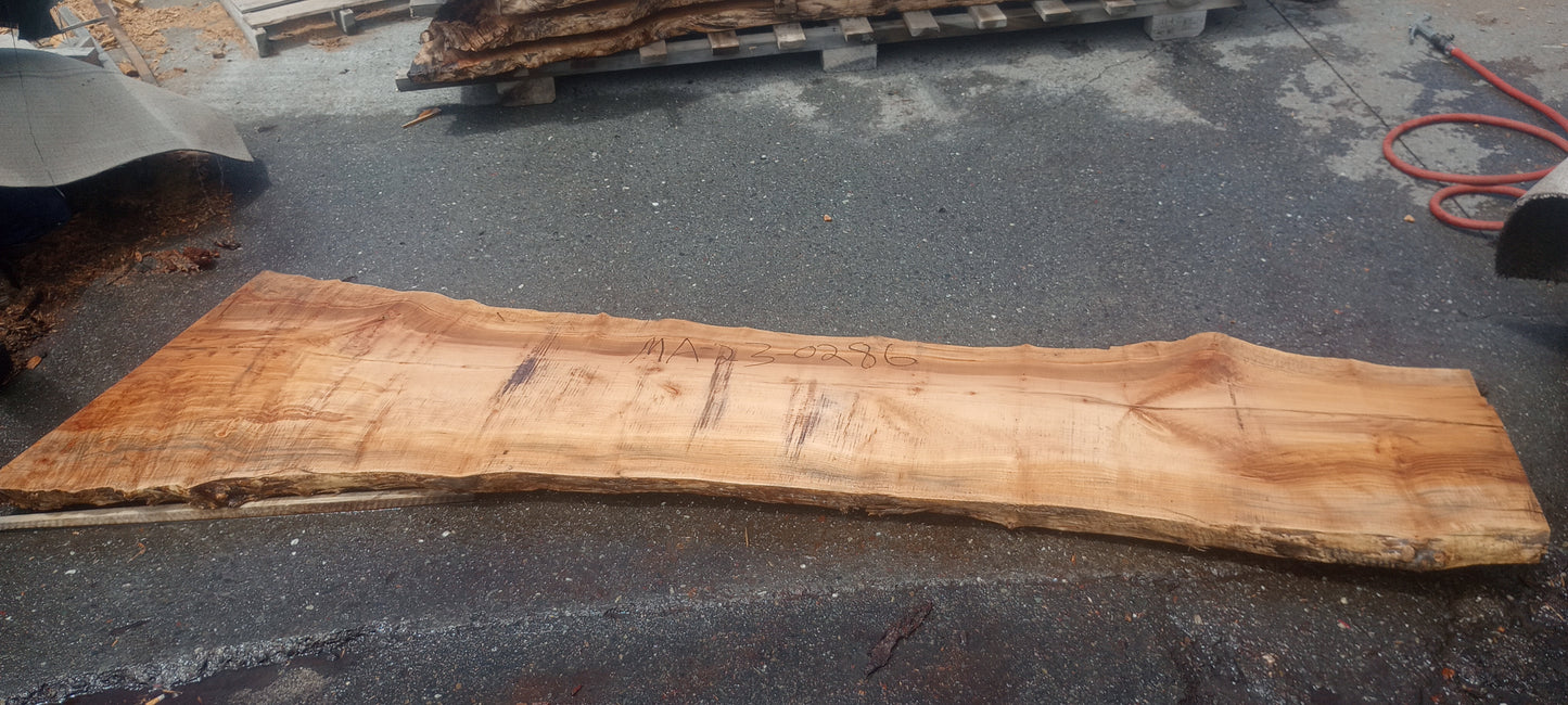 Maple burl | epoxy river table | live edge slab | DIY ideas | ma23-0386