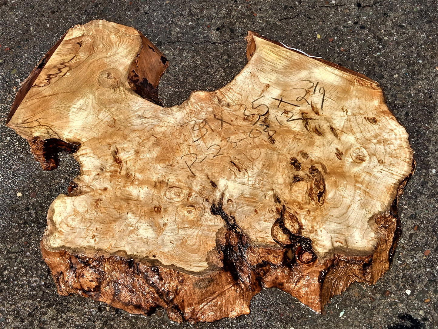 Myrtle burl slab | live edge | DIY wood crafts | river table | mrt23-0312