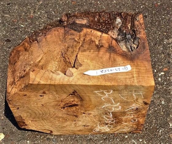 Myrtle burl | bowl turning | wood turning | DIY crafts | bl23-0352