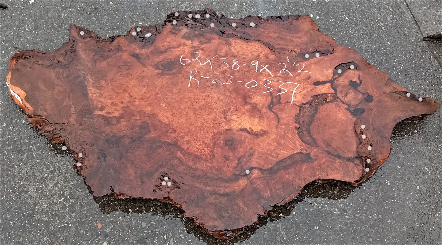 Redwood lace burl | live edge | DIY | epoxy river table | burl | r23-0337