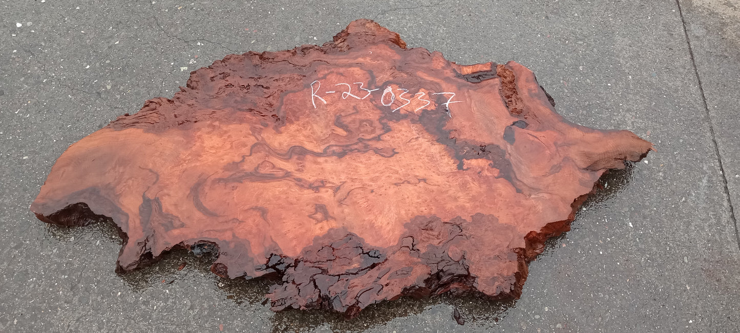 Redwood lace burl | live edge | DIY | epoxy river table | burl | r23-0337