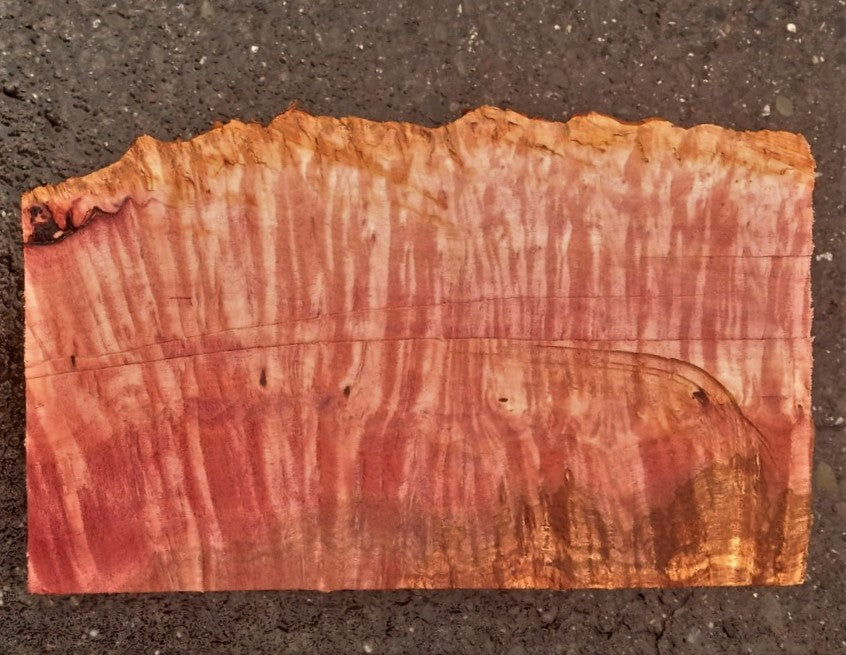 Madrone burl | bowl turning | wood turning | DIY wood crafts | bl23-0530-md