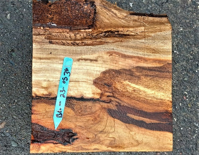 Myrtle burl | bowl turning | wood turning | DIY wood crafts | bl23-0536