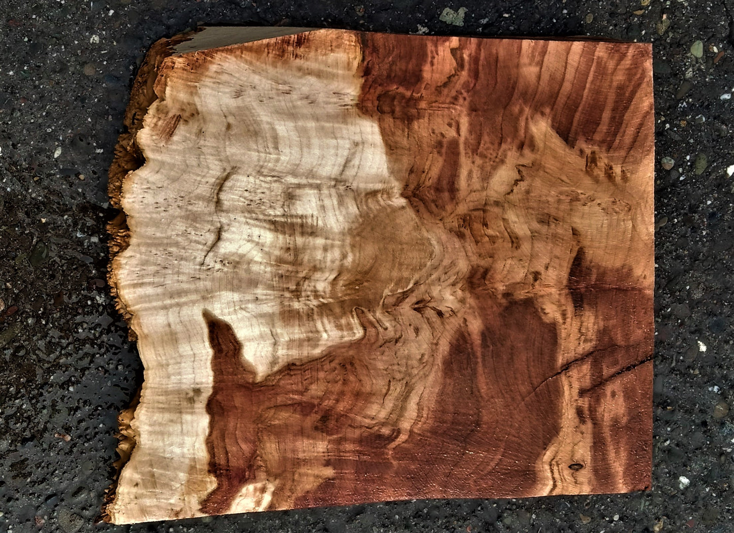 Maple burl | bowl turning | wood turning | DIY crafts | bl23-0595