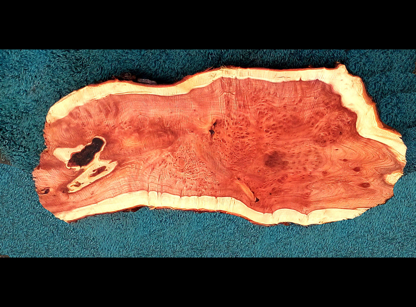 redwood lace burl | live edge | DIY | burl table | river table | r23-0573