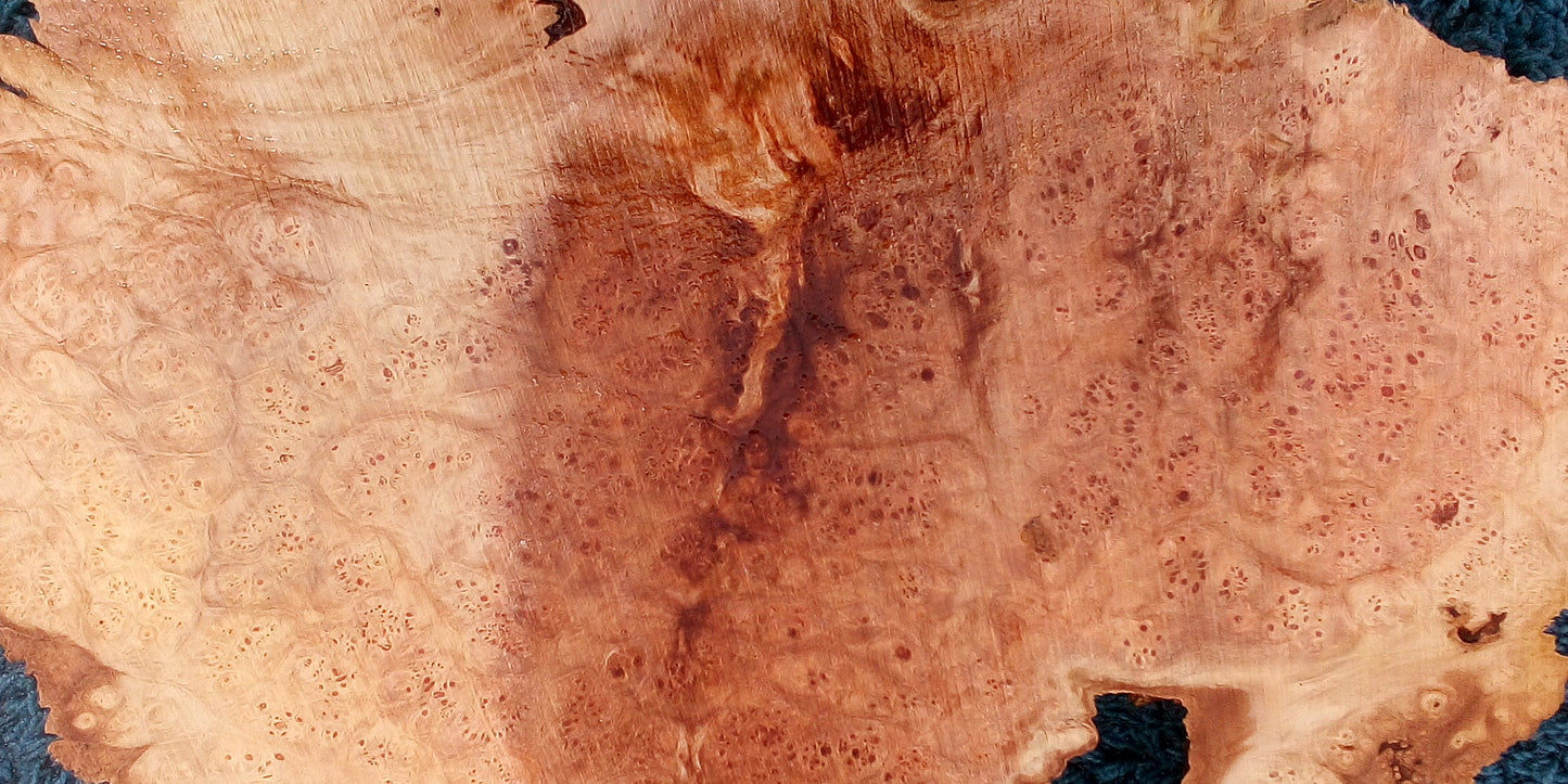 Maple burl slab | live edge | river table | DIY crafts | burl clock | ma23-0579