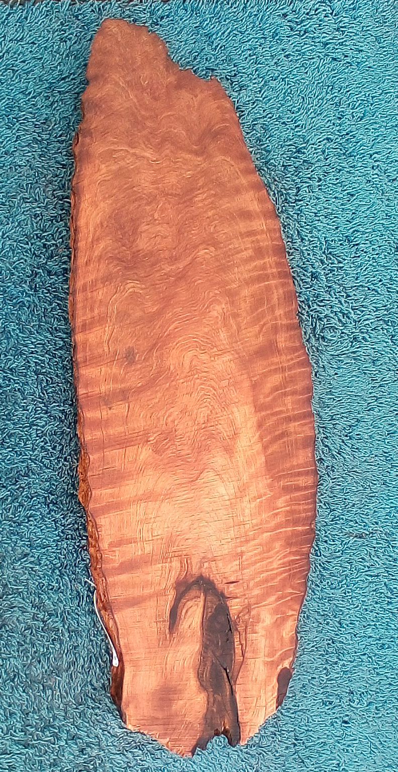 curly redwood slab | live edge | burl table | guitar billet | r23-0575