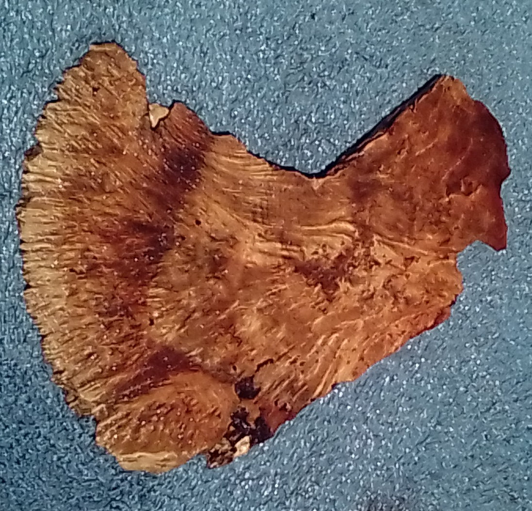 Poplar burl | epoxy river table | live edge slab | DIY ideas | p23-0656