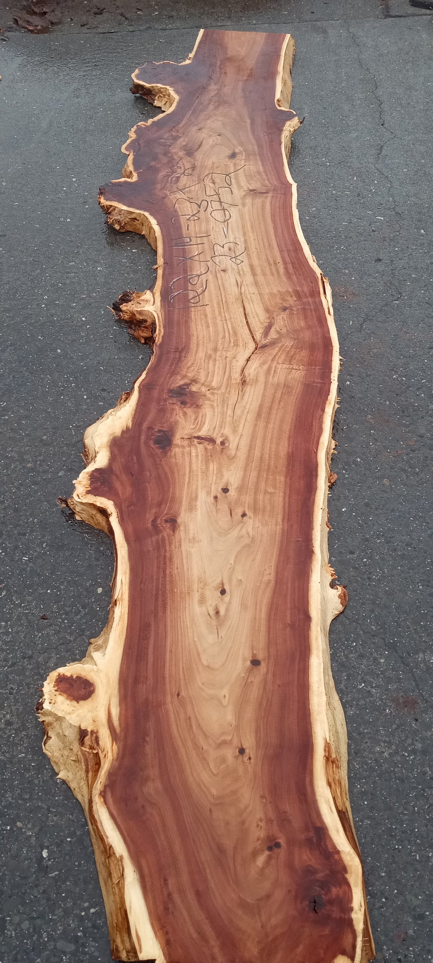 Mappa burl | Poplar | river table | live edge slab | DIY ideas | p23-0753