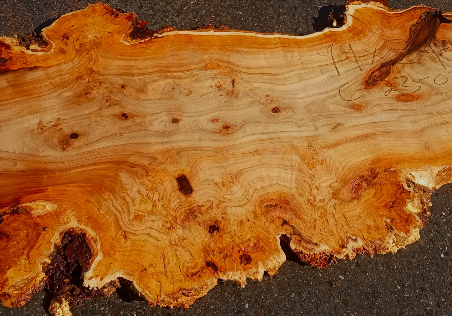 Mappa burl | Poplar | river table | live edge slab | DIY ideas | p23-0770