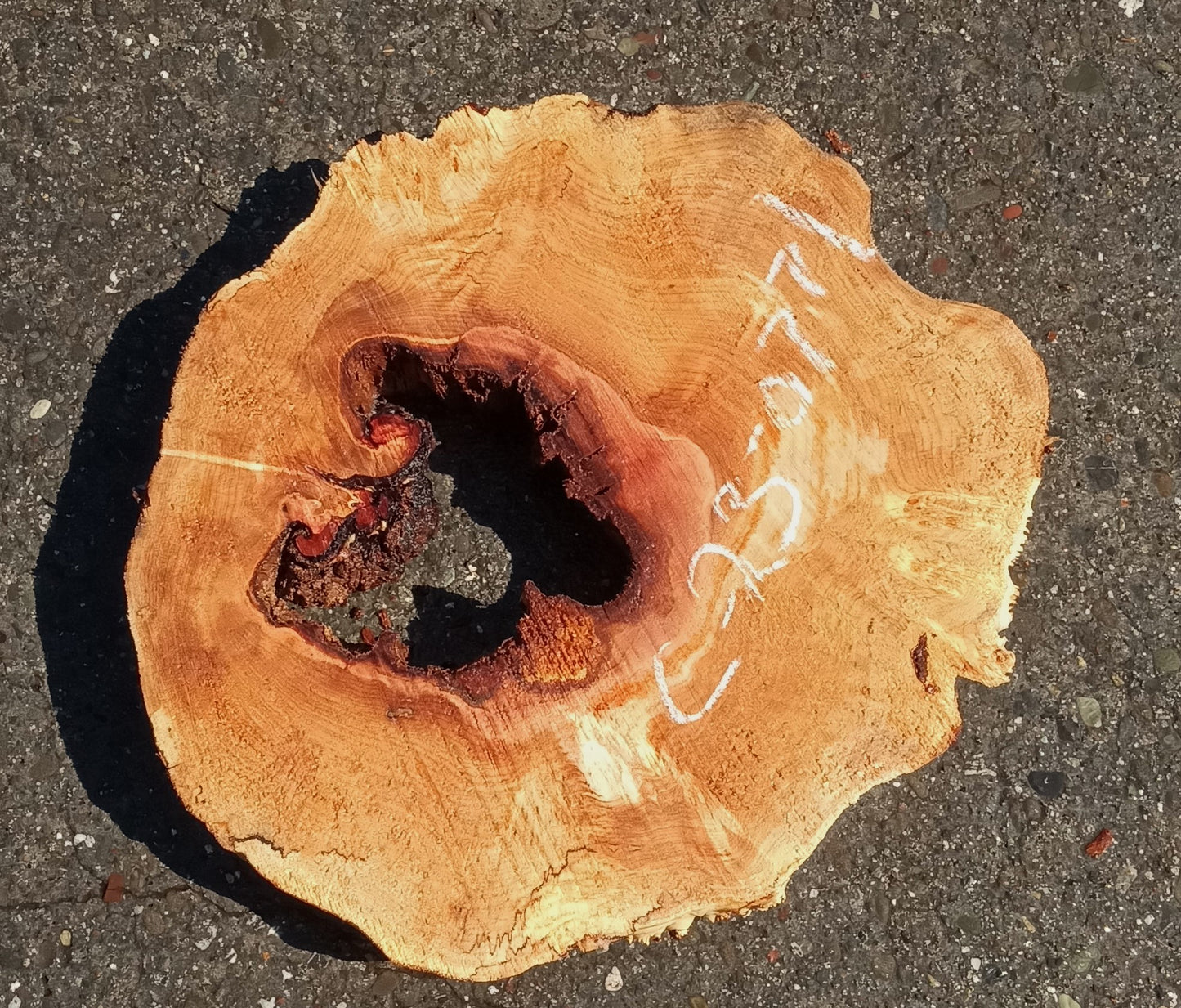 Maple burl | cookie cut | river table | live edge slab | DIY ideas | ma23-0771