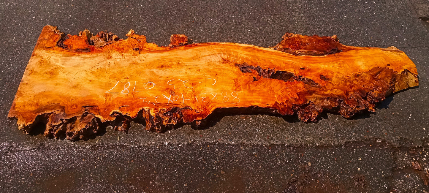 Mappa | Poplar burl | epoxy river table | live edge slab | DIY ideas | p23-0787