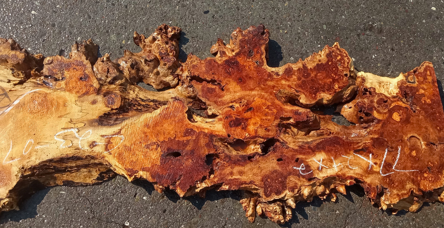 Mappa burl | Poplar | river table | live edge slab | DIY ideas | p23-0791