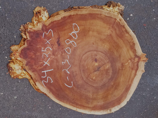 Black Poplar slab | live edge | cookie cut | river table | 23-0800