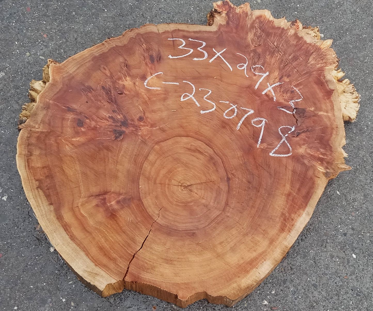 Black Poplar slab | live edge | cookie cut | river table | 23-0798