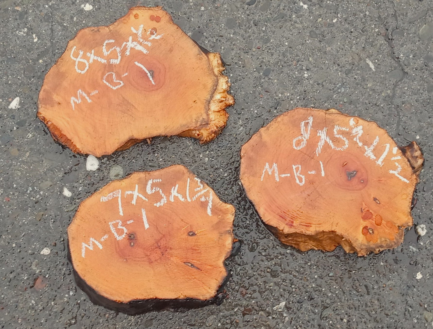 3 Maple burl slabs | live edge | cookie cut | DIY crafts | ma23-1