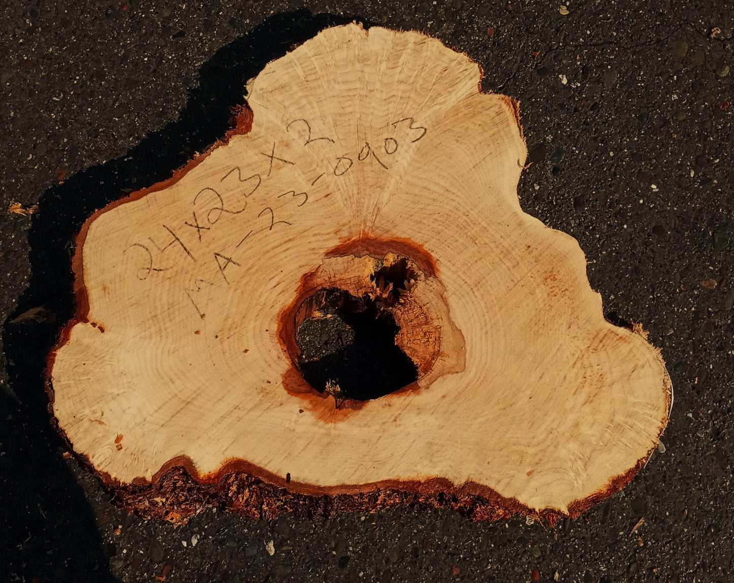 Maple burl | cookie cut | craft woods | DIY | river table | ma23-0921
