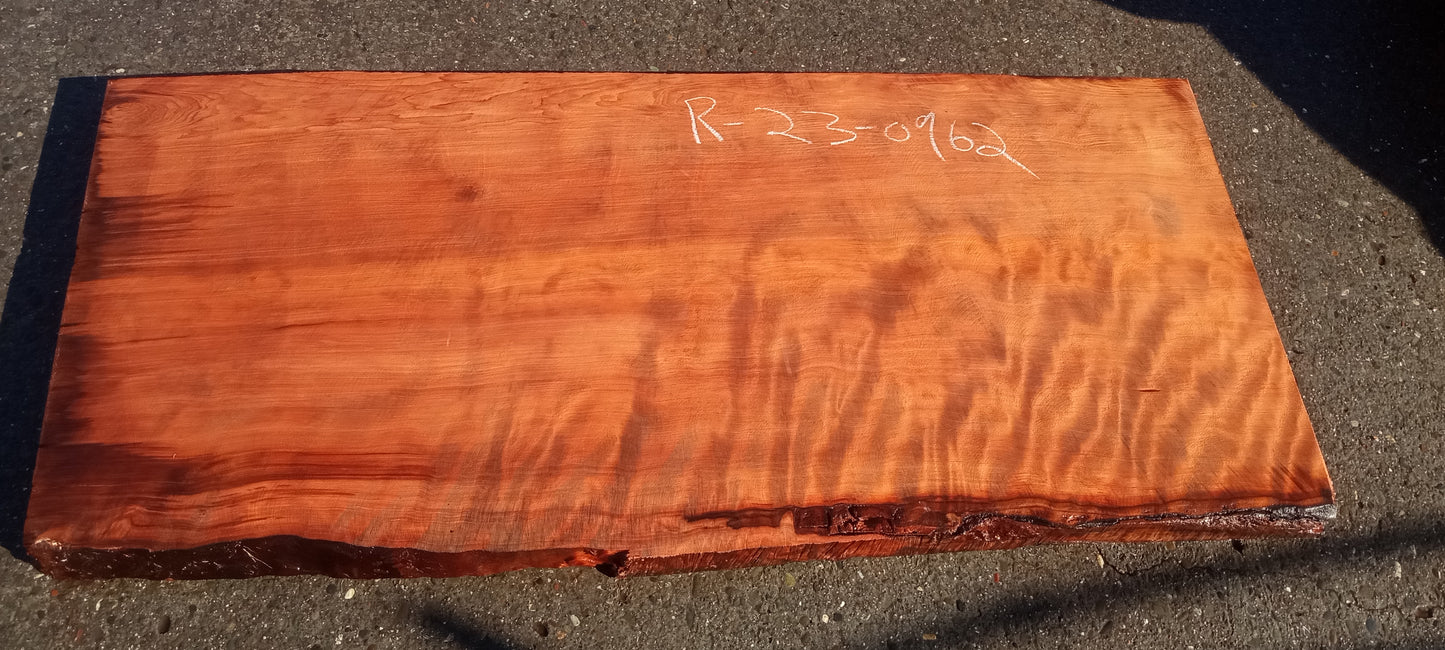 lime | live edge slab | old growth redwood | DIY craft woods | r23-0962