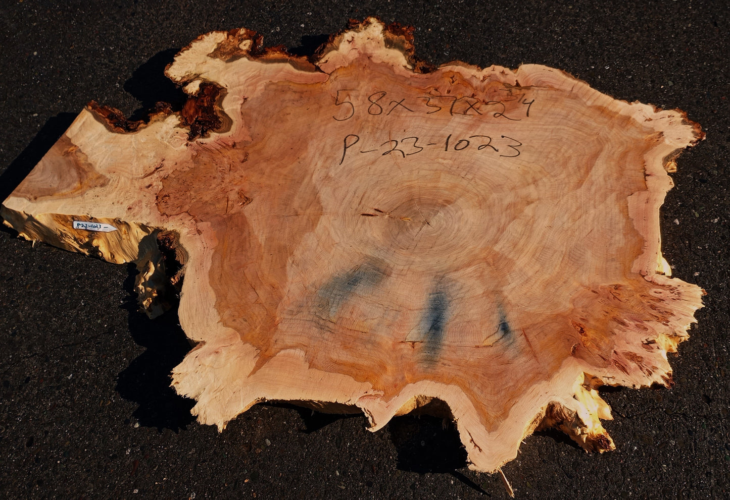 Mappa burl | cookie cut | live edge | DIY | river table | p23-1023
